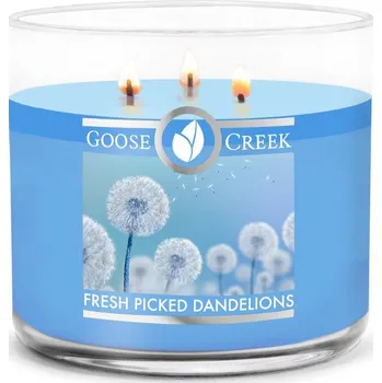 Svíčka Goose Creek - Právě utržené pampelišky