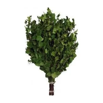 Saunová metlička z Břízy