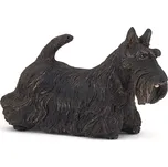 PAPO Skotský teriér