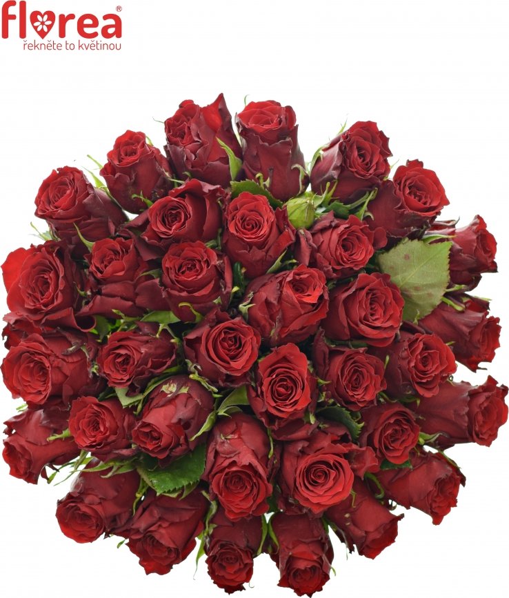 Kytice 35 rudých růží RED TORCH 70 cm