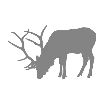 Samolepící dekorace SAMOLEPKA Jelen 008 levá (17 - šedá) NA AUTO, NÁLEPKA, FÓLIE, POLEP, TUNING, VLASTNÍ TEXT, TISK, AUTOSAMOLEPKY.cz, POLEPY, OBRÁZEK, LOGO, SAMOLEPKY