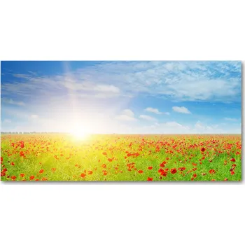 Obraz Foto obraz skleněný horizontální Pole máků
