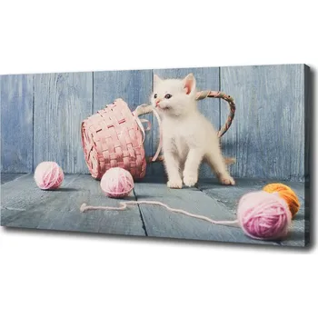 Obraz Foto obraz canvas Bílká kočla a kuličky