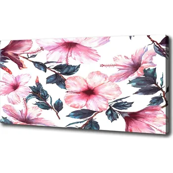 Obraz Moderní fotoobraz canvas na rámu Květ ibišku