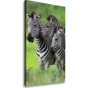 Obraz Vertikální Vertikální Foto obraz na plátně do obýváku Tři zebry