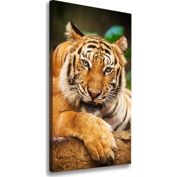 Obraz Vertikální Foto obraz na plátně Bengálský tygr