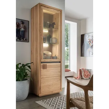 Knihovna Dubová vitrína Fende II