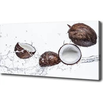 Obraz Foto obraz na plátně Kokos s vodou