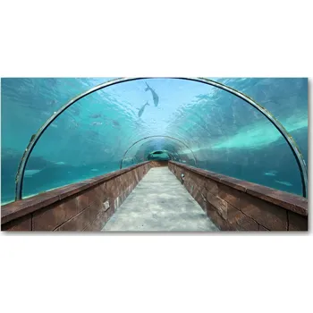 Obraz Fotoobraz na skle Tunel akvárium