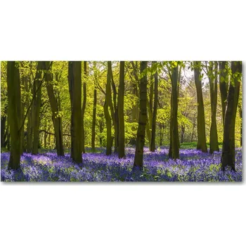 Obraz Foto obraz skleněný horizontální Les jaro