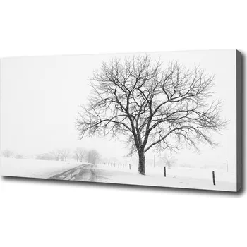 Obraz Foto obraz na plátně Strom zima