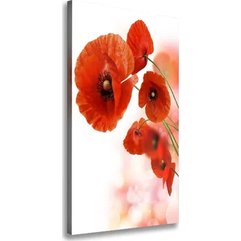 Obraz Vertikální Vertikální Foto obraz na plátně do obýváku Polní mák