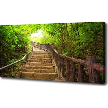 Obraz Foto obraz na plátně Schody v lese