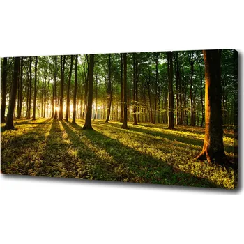 Obraz Foto obraz na plátně Sluneční paprsky