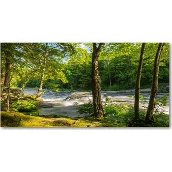 Obraz Foto obraz skleněný horizontální Řeka v lese