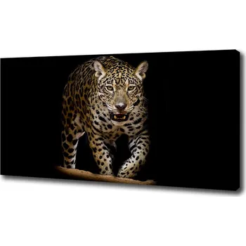 Obraz Foto obraz na plátně Jaguál