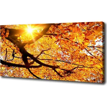 Obraz Moderní obraz canvas na rámu Koruna stromů podzim