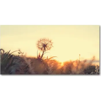 Obraz Foto-obraz fotografie na skle Pampeliška