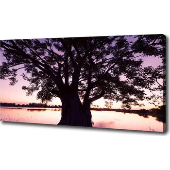 Obraz Moderní obraz canvas na rámu Stromy a jezero