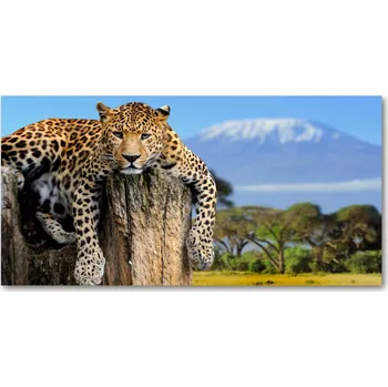Obraz Fotoobraz na skle Leopart na kmeni