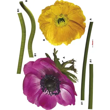 Samolepící dekorace Samolepicí dekorace na zeď 50x70cm Freestyle Anemone 17012 Komar