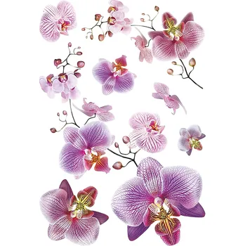 Samolepka / samolepící dekorace na zeď SM 3440, Orchidej, AG Design