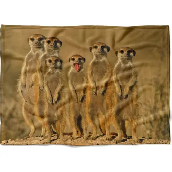 deka Deka Surikaty 150x120 cm (Rozměr : 150 x 120 cm, Podšití beránkem: NE)