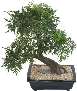 Umělá květina Vert Espace Aralia bonsai v květináči 50 cm