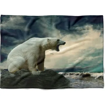 Dětská deka Deka Lední medvěd 150x120 cm (Rozměr : 200 x 140 cm, Podšití beránkem: NE)