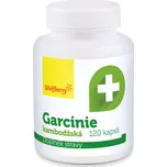 Wolfberry Garcinie kambodžská 120 cps.