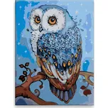 Malujsi Kouzelná sova 30 x 40 cm