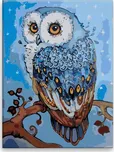 Malujsi Kouzelná sova 30 x 40 cm