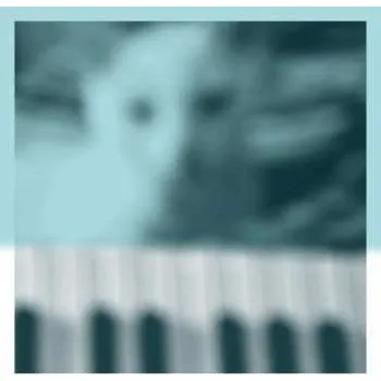 Zahraniční hudba 2CD Peter Broderick: Piano Works Vol. 1 (Floating In Tucker's Basement) 2022 Floating In Tucker's Basement