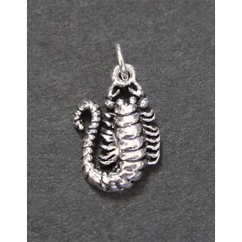Přívěsek Potvůrka - stříbrný přívěsek
