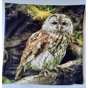 Povlak na dekorativní polštářek Povlak na polštářek SOVA