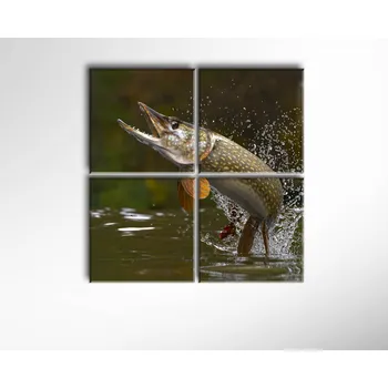 Obraz Malvis ® Obraz Štika ROZMĚR (šířka x výška): čtyřdílný čtverec 80x80 cm