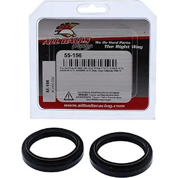 Simerinky do předních vidlic All Balls BMW R nine T rok 13-21