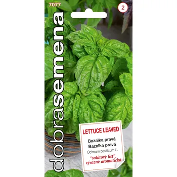 Semeno Dobrá semena Bazalka pravá - Lettuce Leaved, širokol. sal. 0,8g