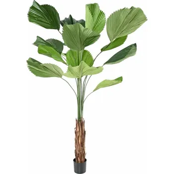 umělá květina Umělá palma Licuala Grandis 15 listů, 205cm