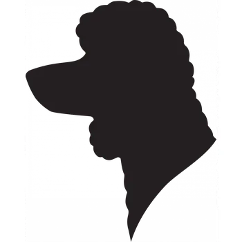 Vsepropejska Pudl 4 dřevěná dekorace na zeď Rozměr (cm): 38 x 30