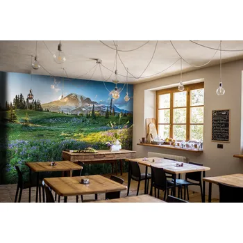 Fototapeta Tapeta Národní park Mount Rainier (vliesová fototapeta)