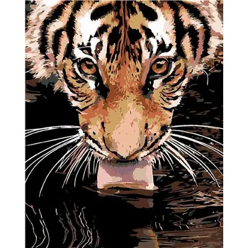 Malování podle čísel - Tygr u vody, 40x50 cm, bez rámu a bez vypnutí plátna