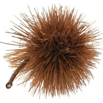 Kartoos pod loose natural