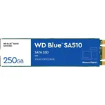 Western Digital Blue SA510 M.2 250 GB…
