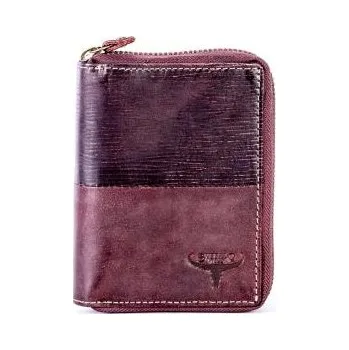 Peněženka Hnědá pánská peněženka na zip