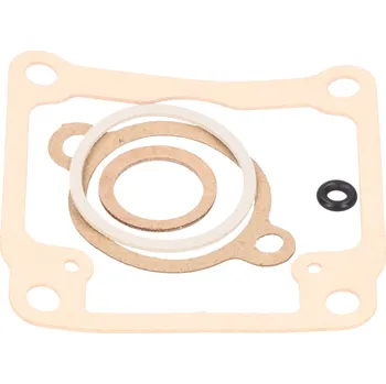 Karburátor DellOrto Sada těsnění karburátoru Dellorto, PHBG 19-21mm 38649