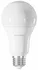 Žárovka TESLA TechToy Smart Bulb E27 11W 230V 1050lm 2700-6500K + RGB