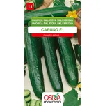 Osiva Moravia Caruso F1 okurka salátová…