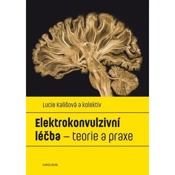 Kniha Elektrokonvulzivní léčba – teorie a praxe - Lucie Kališová (E-Kniha)