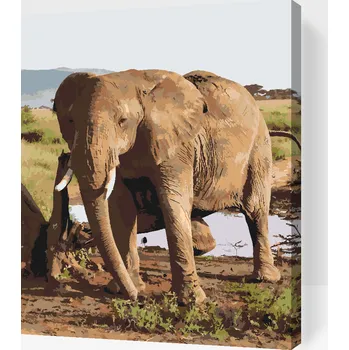 Malování podle čísel - Safari - Slon Velikost: 30x40cm, Rámování: Pouze srolované plátno